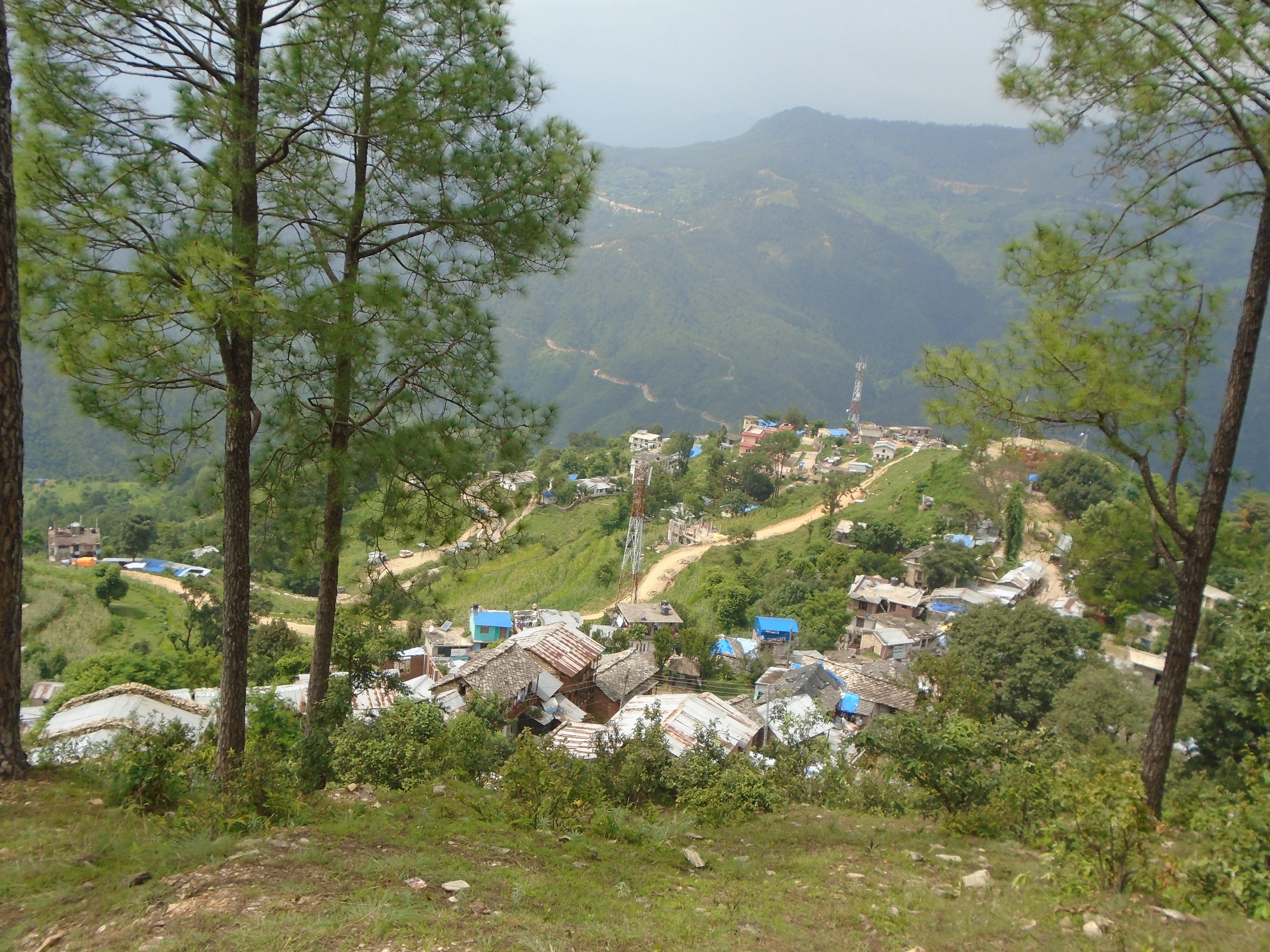मङ्गलसेनको आन्तरिक राजस्वः डिजिटल प्रणालीको नयाँ अभ्यास र दिगो अर्थतन्त्रको खोजी